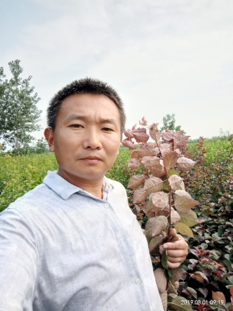 孩子爸的第一张照片--无锡相亲服务中心