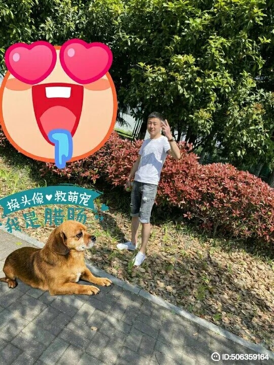 我若不坚强谁替我勇敢的第五张照片--无锡相亲服务中心