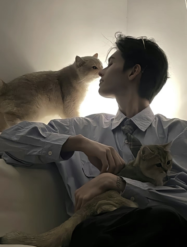 怪猫的第一张照片--无锡相亲服务中心