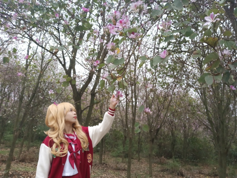 暮秋的第一张照片--无锡相亲服务中心