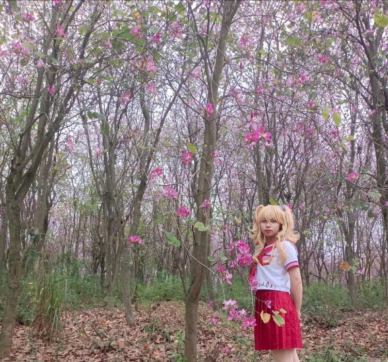 暮秋的第四张照片--无锡相亲服务中心
