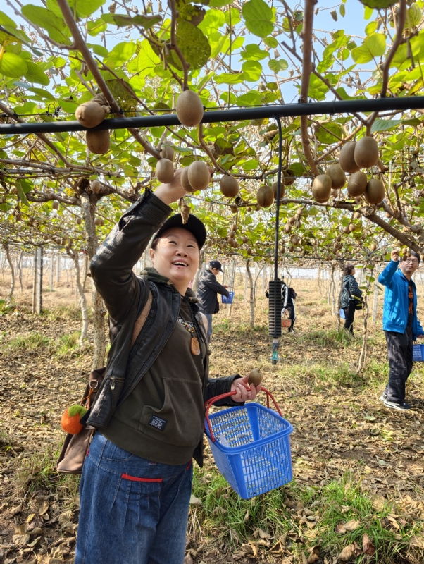夜莺的第四张照片--无锡相亲服务中心